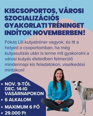 Kiscsoportos, városi szocializációs gyakorlati tréninget indítok november 9-én, vasárnap! Ha még kutyasulizás után is...