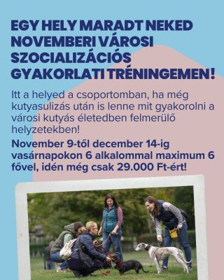 Még maradt 1 hely november 9-én, vasárnap induló kiscsoportos, városi szocializációs gyakorlati tréningemre! Itt a helyed,...